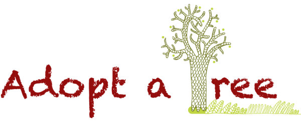 Adopt a Tree